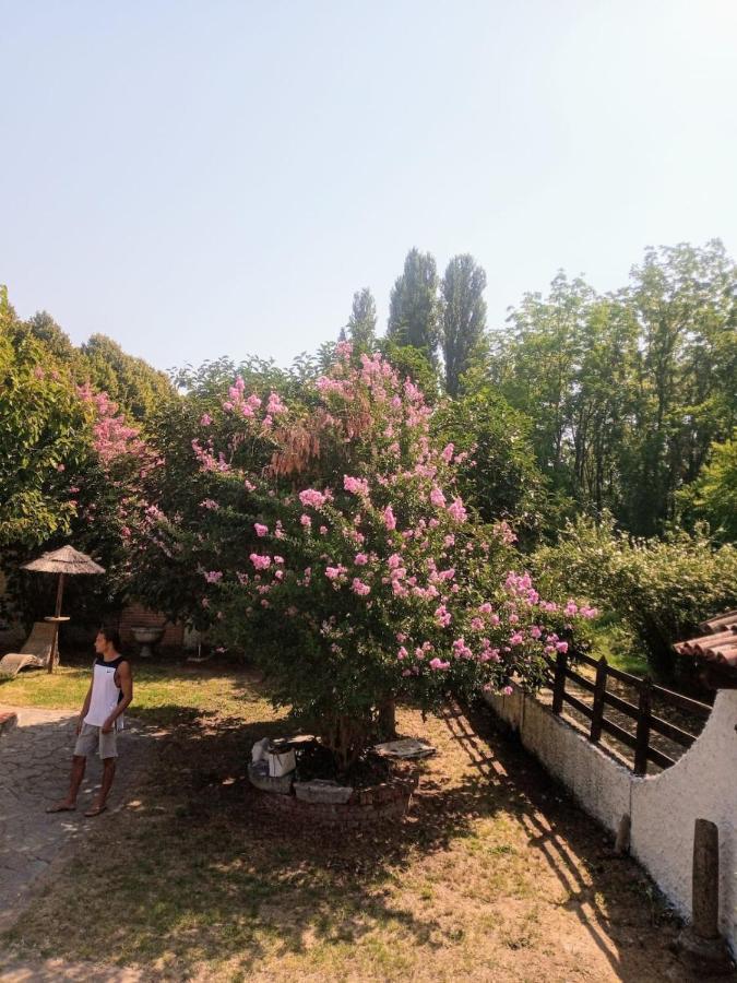 La Dama Con L'Ermellino B&B San Giovanni in Croce Eksteriør billede